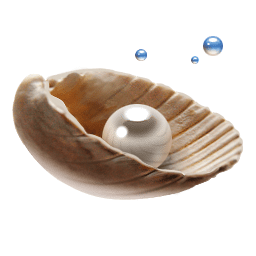 pearl in shell